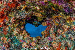 A heart-shaped hole in a coral cave ceiling, Bonaire Island. by Lorenzo Mittiga 